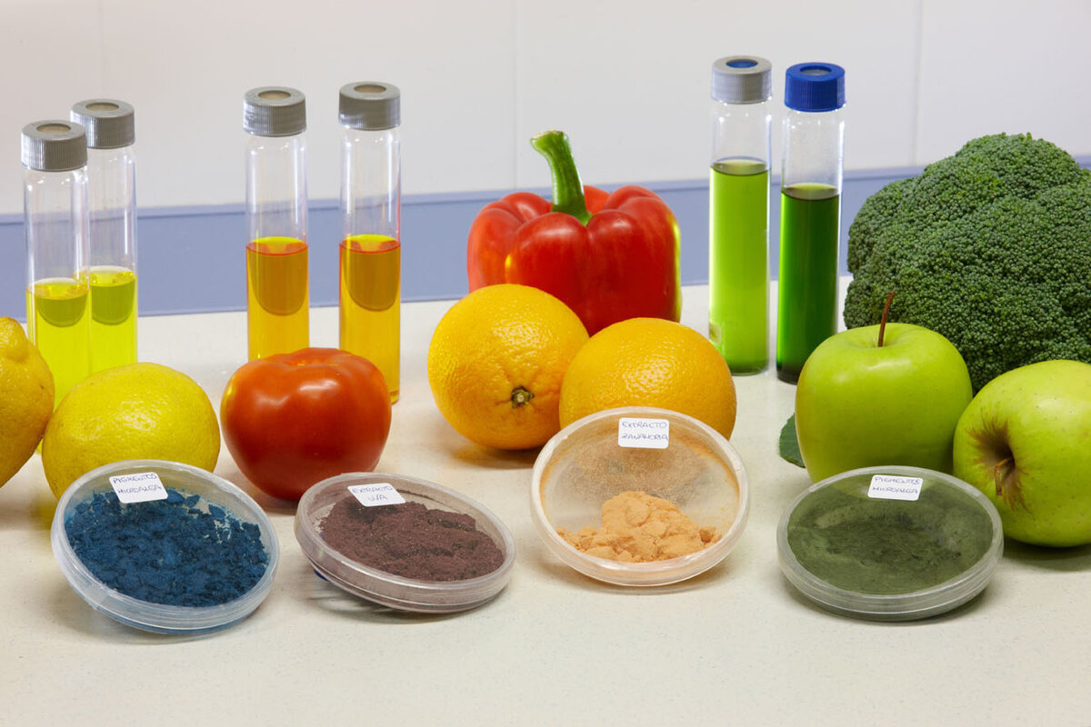 Использование пищевых консервантов и красителей в  производстве продуктов питания